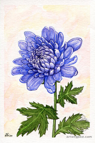 Blue Chrysanthemum (watercolor, 2020)