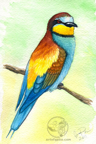 European Bee-eater (watercolor, 2011)