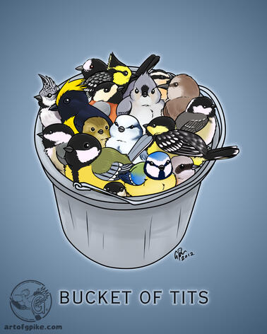 Bucket of Tits (digital, 2012)