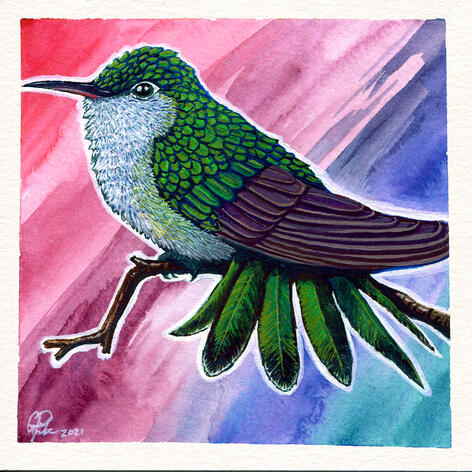 Hummingbird (watercolor & gouache, 2021)