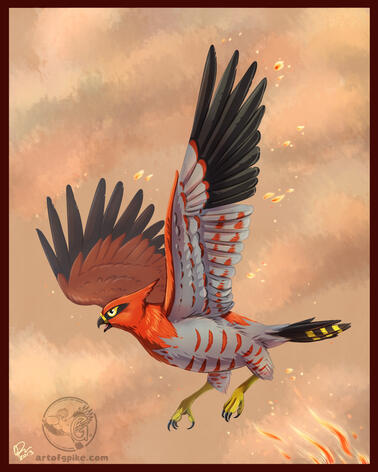 Talonflame (digital, 2013)