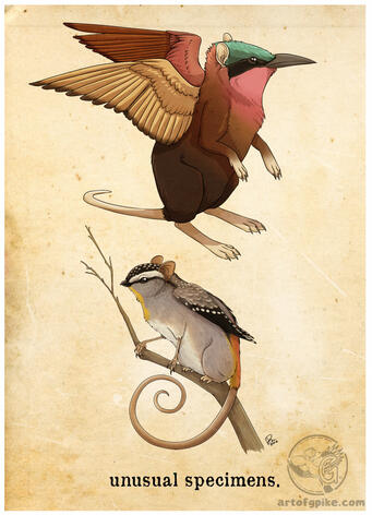 Unusual Specimens (digital, 2012)